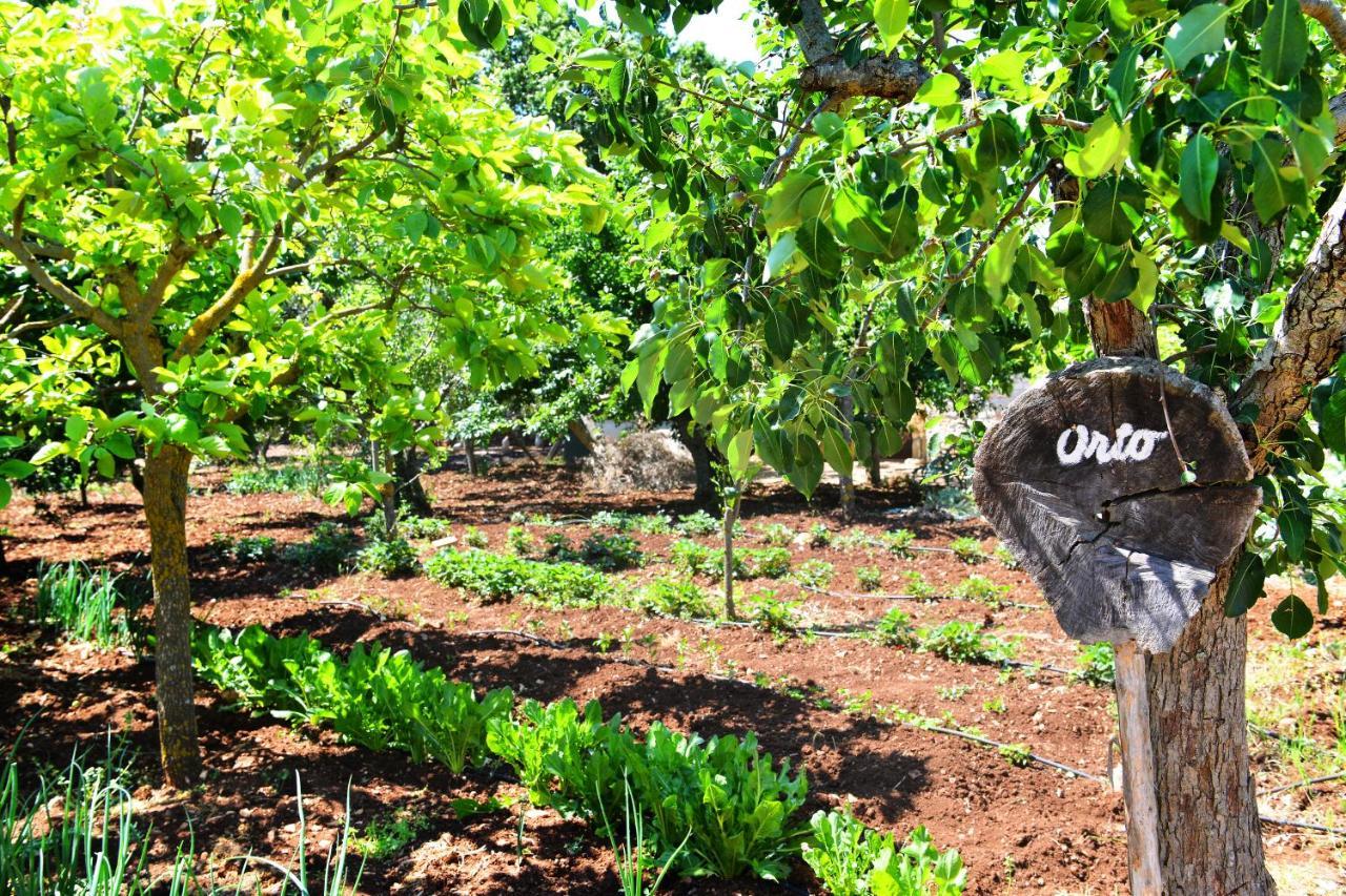 Masseria Peppeturro Cisternino Dış mekan fotoğraf
