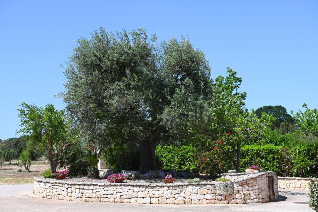 Masseria Peppeturro Cisternino Dış mekan fotoğraf